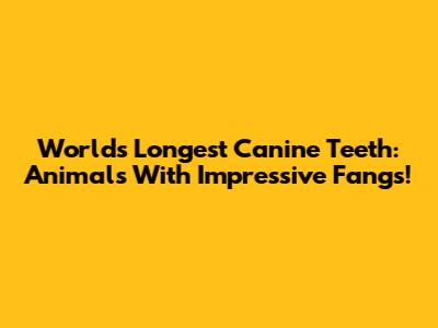 World's Longest Canine Teeth: Animals With Impressive Fangs!
