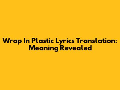Wrap In Plastic Lyrics Translation: Meaning Revealed