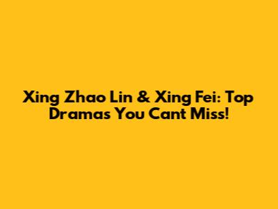 Xing Zhao Lin & Xing Fei: Top Dramas You Can't Miss!