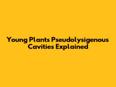 Young Plant's Pseudolysigenous Cavities Explained