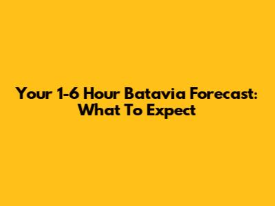 Your 1-6 Hour Batavia Forecast: What To Expect