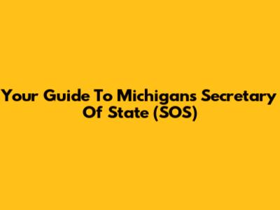 Your Guide To Michigan's Secretary Of State (SOS)