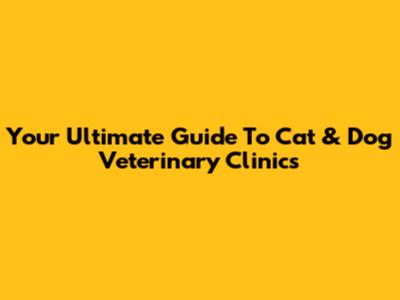 Your Ultimate Guide To Cat & Dog Veterinary Clinics
