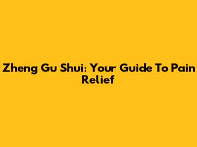 Zheng Gu Shui: Your Guide To Pain Relief