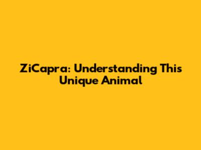 ZiCapra: Understanding This Unique Animal