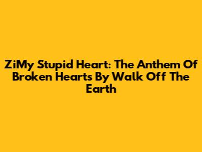 ZiMy Stupid Heart: The Anthem Of Broken Hearts By Walk Off The Earth