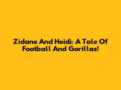 Zidane And Heidi: A Tale Of Football And Gorillas!