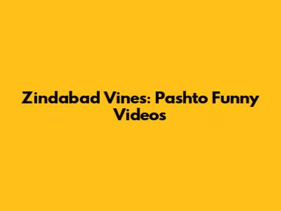 Zindabad Vines: Pashto Funny Videos