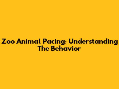 Zoo Animal Pacing: Understanding The Behavior